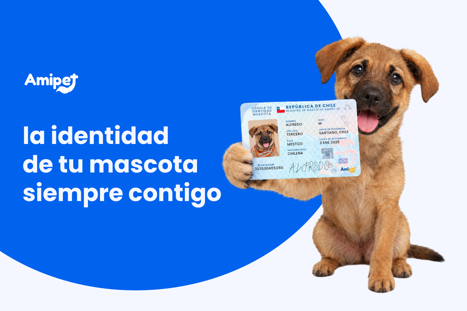 Amipet ID: Carnet para Mascotas con QR | Identificación Digital